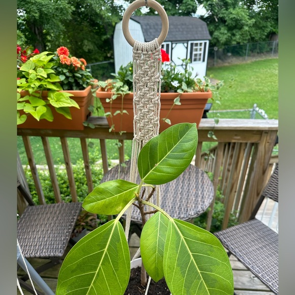 Macrame Plant Hanger. Handmade by me, made to order! - Picture 4 of 7